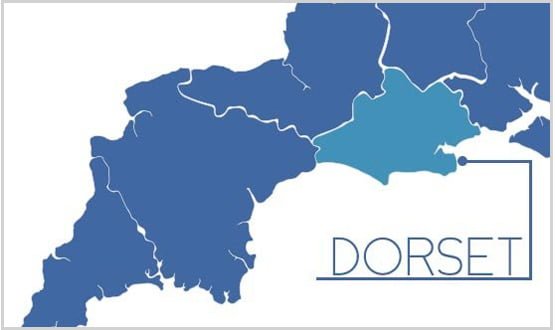 Dorset plans £20m shared record scheme