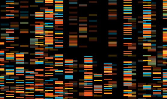 Image showing a computerised DNA sequence