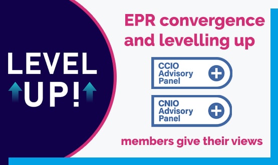 EPR convergence and levelling up: CCIO and CNIOs have their say